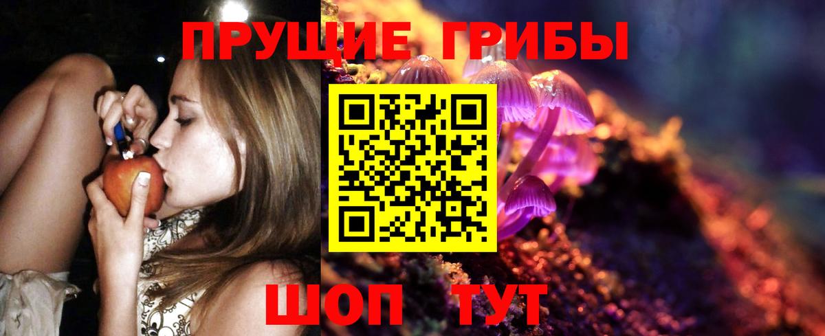 Псилоцибиновые грибы GOLDEN TEACHER Горно-Алтайск